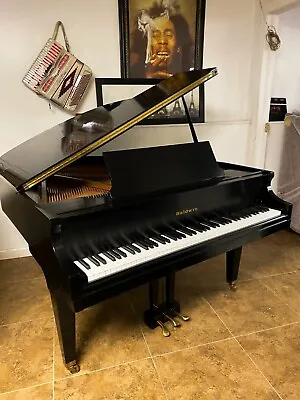 Baldwin Grand Piano 4'10'' Model B1 • $5995