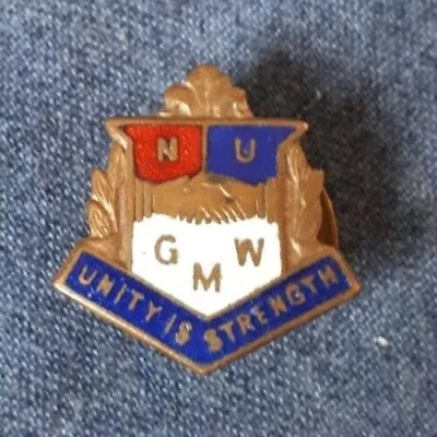 Collectors J R GAUNT Enamel Buttonhole Badge GMW Trade Union General & Municipal • $3.69