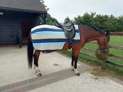 Cwell Equine Blue Cream Stripe Fleece Exercise Horse Pony Riding Winter Rugs  • £14.99