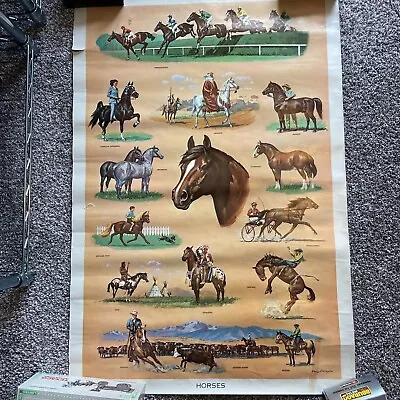 Vintage Horses Poster Large 37.5x25.5” Western Cowboys Indians Style Mid Century • $20