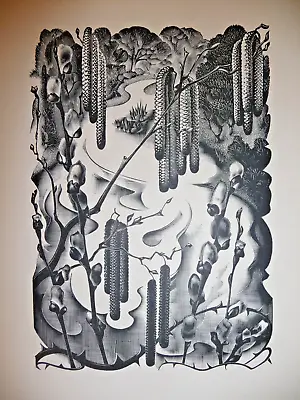 £12 • Buy AGNES MILLER PARKER - Catkins Of Hazel & Willow - Print After Woodblock - 1936.