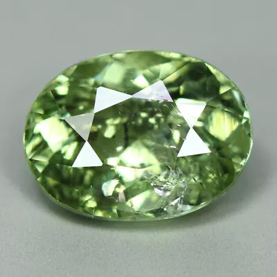 2.44 Cts_ravishing Best Color_100 % Natural Unheated Mozambique Green Tourmaline • $15