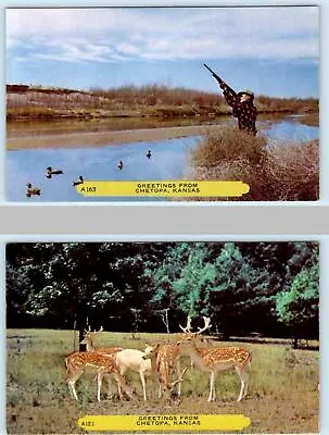 2 Postcards GREETINGS From CHETOPA Kansas KS ~ Labette County C1950s • $5.93