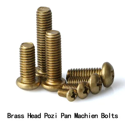 £1.96 • Buy M2 M2.5 M3 M4 M5 M6 Brass Pan Head Phillips Screws Round Head Machine Bolts