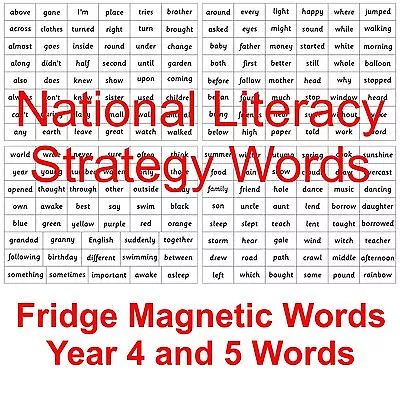 Magnetic National Literacy Strategy Words Years 4 & 5 • £12.95