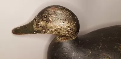  Mason Premier Black Duck Wood Duck Decoy Detroit MI  • $750