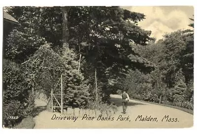 Postcard Driveway Pine Banks Park Malden MA  • $20.01