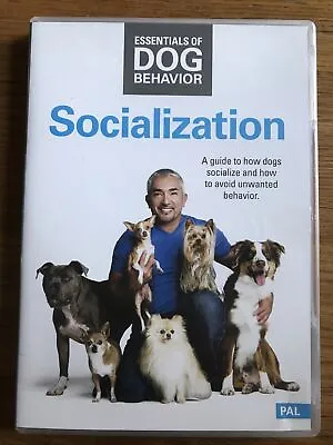 Essentials Of Dog Behavior Behaviour Socialization DVD (2014) Cesar Millan • £22.49