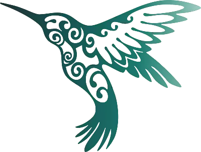 Hummingbird Opal Vinyl Decal Car SUV Truck RV Window Bumper Wall Tablet Laptop • $6