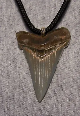 Megalodon Shark Tooth Necklace 1 7/8  Fossil Teeth Pendant Jaw Megalodon GEM • $39