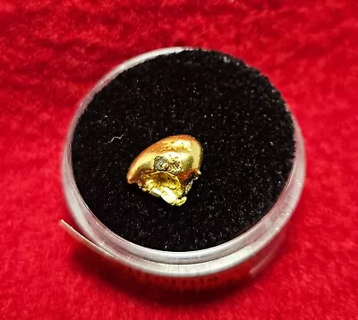 California Natural Gold Nugget 1.7 Grams W/quartz In A Gem Jar W/lid • $127
