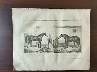  antique Original B/w Lithograph-horses-racing Horses-plate Iv-1880ca • £22