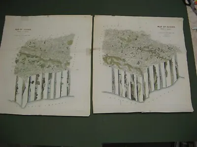 100% Original Large East/west Sussex  Maps X2  By Davies C1834 Hand Coloured • £295