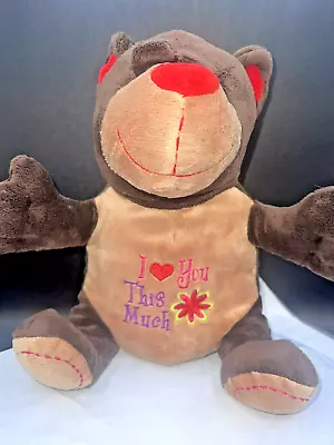 Dan Dee I LOVE YOU THIS MUCH Flower  Bear  12  Plush Stuffed Animal Toy • $19.50