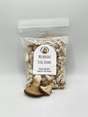 Grey Oyster Mushroom Plug Spawn 100X -FREE USA Shipping • $12.50