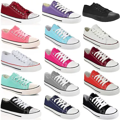 Womens Shoes Ladies Flat Plimsolls Pumps Lace Up Low Top Casual Trainers Plimsol • £10.98