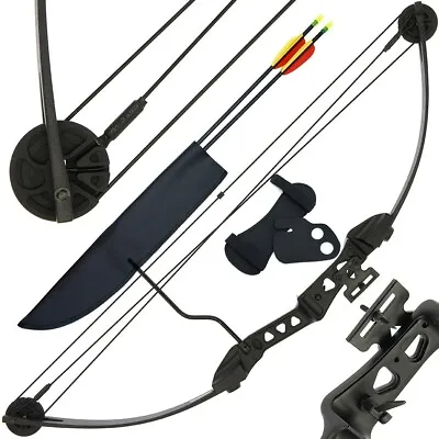 Compound Bow & Arrow Archery Set 29lb Powerful 32  Youth Target Shooting Hunting • £55.50
