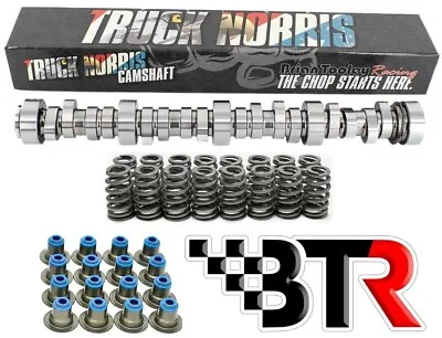 Brian Tooley Racing (BTR) TRUCK NORRIS LS Silverado Sierra Truck Cam Kit 5.3 6.0 • $475.27