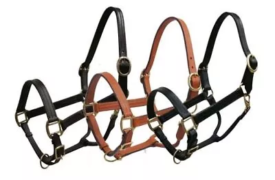 Leather Horse Size Halter W/ Brass Hardware • $33.95