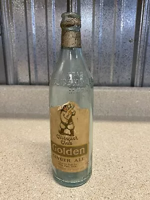 Vintage Clicquot Club Golden Ginger Ale Auqua • $12