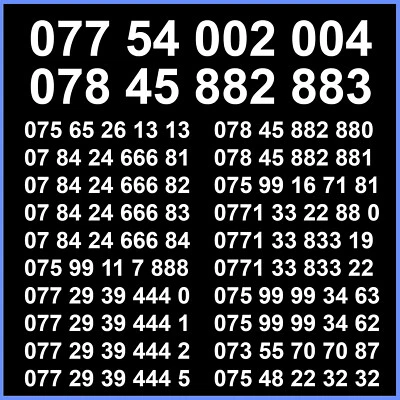 Easy Mobile Number VIP Gold SIM Card Platinum Golden Silver Business Diamond O2 • £14.99