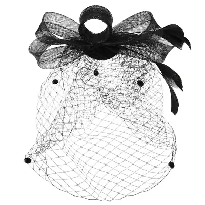  Bridal Veil Barrettes Headbands For Women Black Hair Accessories Clip Bird Cage • $6.99