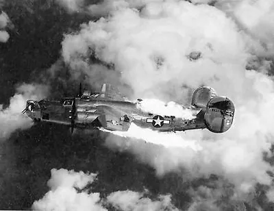 WWII Photo B-24D Liberator Burning Austria  WW2 World War Two B-24 USAAF / 5038 • $6.49