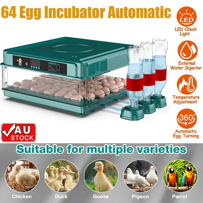 64 Automatic Egg Incubator Digital Led Hatch Turning Chicken Egg Poultry AU • $99.99