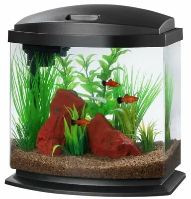 Aqueon LED MiniBow 2.5 SmartClean Aquarium Kit Black - 2.5 Gallon • £72.24