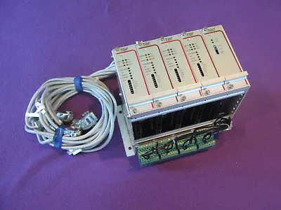 Rack Of 2 TBF60/5IH-02 Custom Servo Motors MTS Bregenhorn-Butow Amplifier Card • $1100