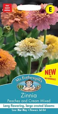 Zinnia Peaches & Cream Mixed 75 Fresh Seeds    Zinnia Seeds    Flower Seeds • £2.55