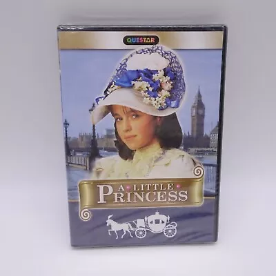 A Little Princess (DVD) New Sealed • $10.75