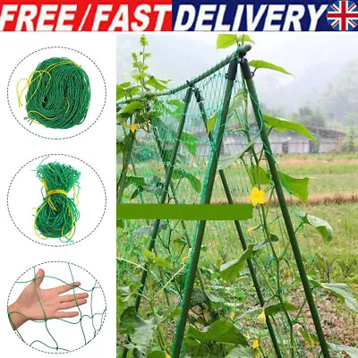 £7.56 • Buy Climbing Plant Support Mesh Garden Net Netting Clematis Cucumber Bean Trellis UK