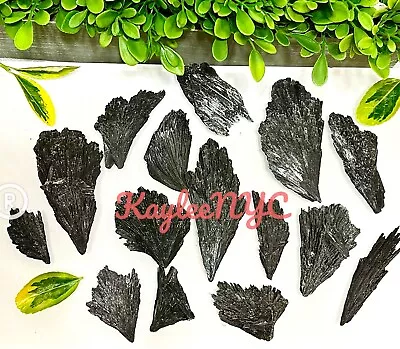 Wholesale Lot 1 Lb Natural Black Kyanite Raw Crystal Healing Energy • $23