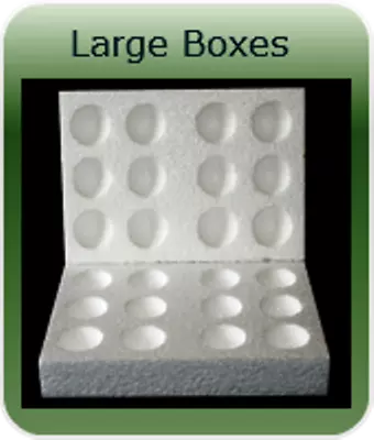 5 X 12 Hole  Large Polystyrene Egg Boxes Hatching/incubation Chicken • £17