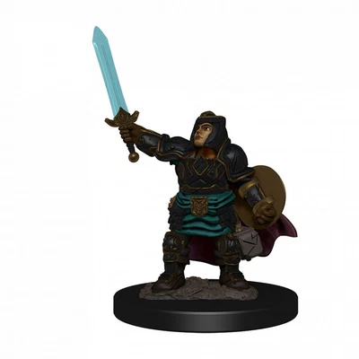 $18.95 • Buy Dungeons & Dragons Premium Female Dwarf Paladin Pre-Painted Figure