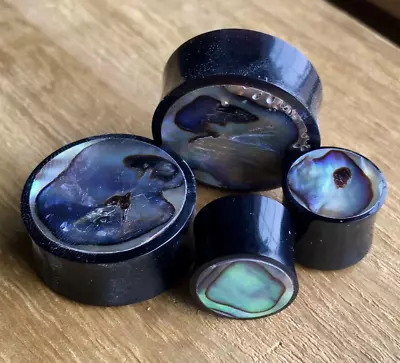 $13.95 • Buy PAIR Horn Plugs W/ Abalone Inlay Earlets Gauges Organic Body Jewelry