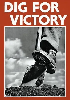 84454 Vintage British Dig For Victory Classic Garden Wall Print Poster CA • $13.95