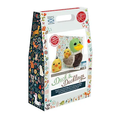 Duck & Ducklings Needle Felting Kit • £13