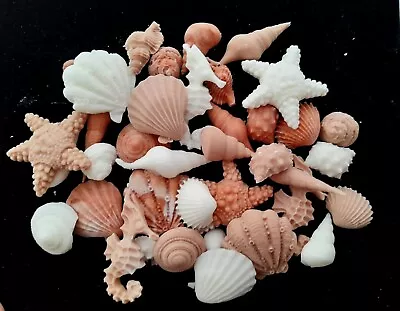 Handmade Edible Fondant Seashells. Cake Toppers. Multiple Colours And Quantities • £3.25