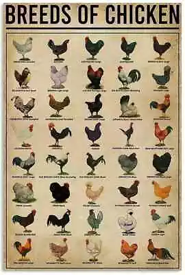 Dectinsign Metal Tin Signs Breeds Of Chickens Tin Sign Vintage Metal Poster C • $12.69