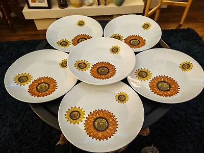 J&G Meakin Studio Pottery Palma Sunflower Mid Century Dinner Plates X 6  25.5cm • £60