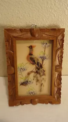 Vintage Mexico Bird With Feathers Souvenir Picture In Wooden Frame • $24.99