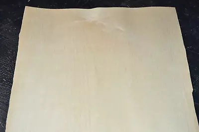 Plain Maple Raw Wood Veneer Sheet 13 X 18 Inches 1/42nd                 M4669-02 • $4.99