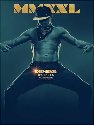 Pre Poster Turtle 47 3/16x63in Magic Mike XXL (2015) Channing Tatum Matt Bomer • $55.25