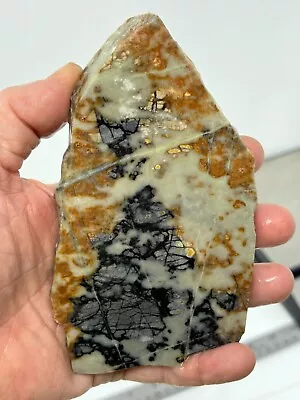 Picasso Marble (Jasper) Slab Cabbing Lapidary Utah Combo Ship Avail • $16