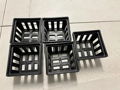 $34.50 • Buy Plastic Orchid Square Pots - Vanda Basket Black Pots For Orchids 100 X 60 Mm