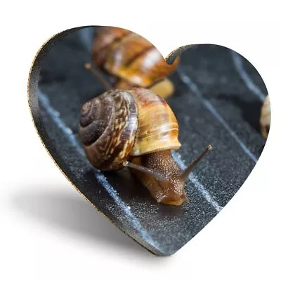 Heart MDF Coasters - Racing Snails Race Ny Insect Snail  #24221 • £3.99