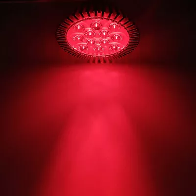 36W Deep Red 670nm~680nm PAR38 LED Lamp Spot Light Bulb Therapy Plant E27 E26 • $24.99