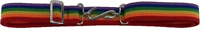 Retro Unisex 70s Rainbow 1 Inch Elastic Snake Belts • £7.99